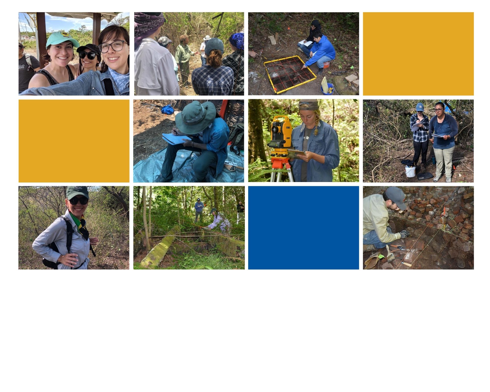 Field School collage