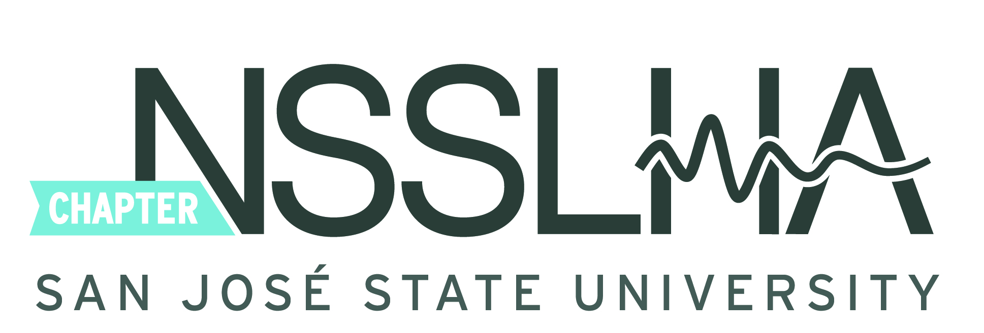 NSSLHA Logo