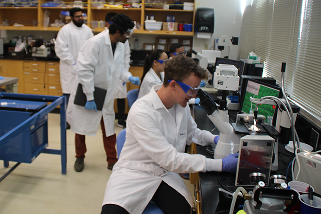 Ram's Lab