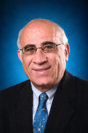 Professor Essam Marouf