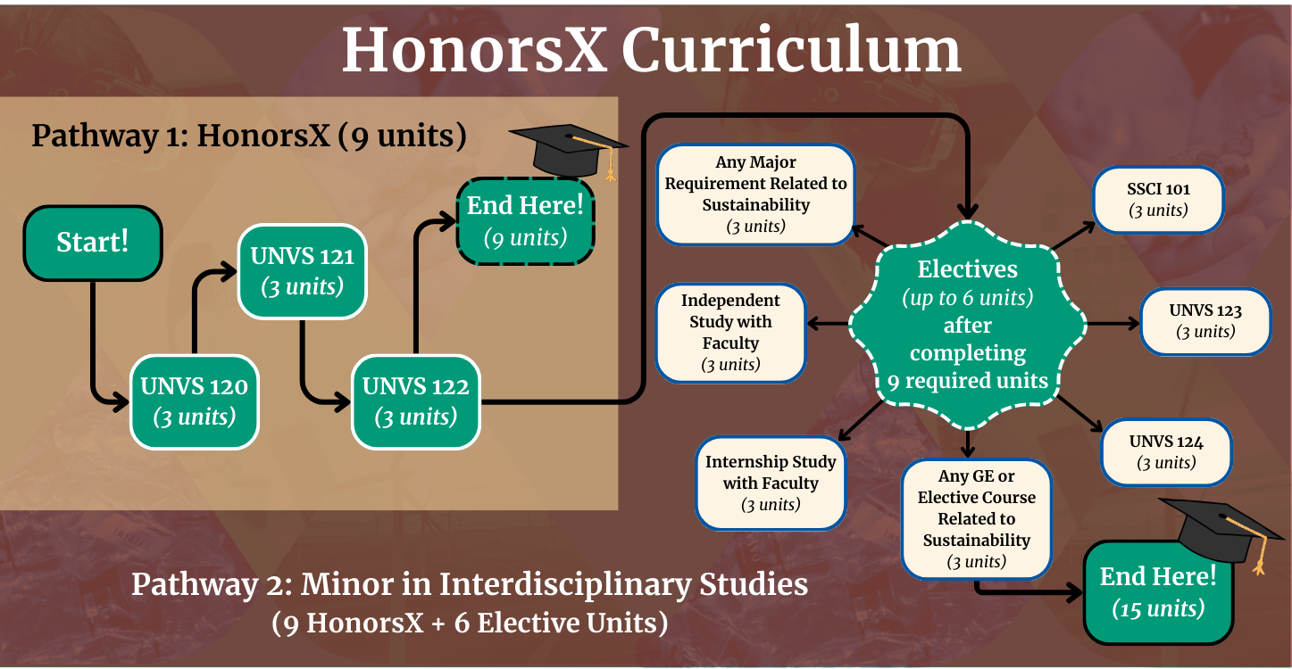 The general roadmap of the Interdisciplinary Minor