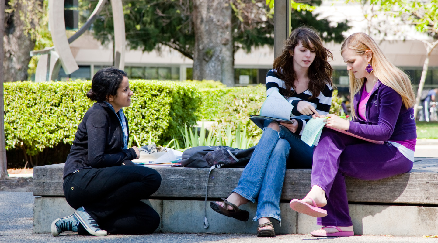 Students Studying