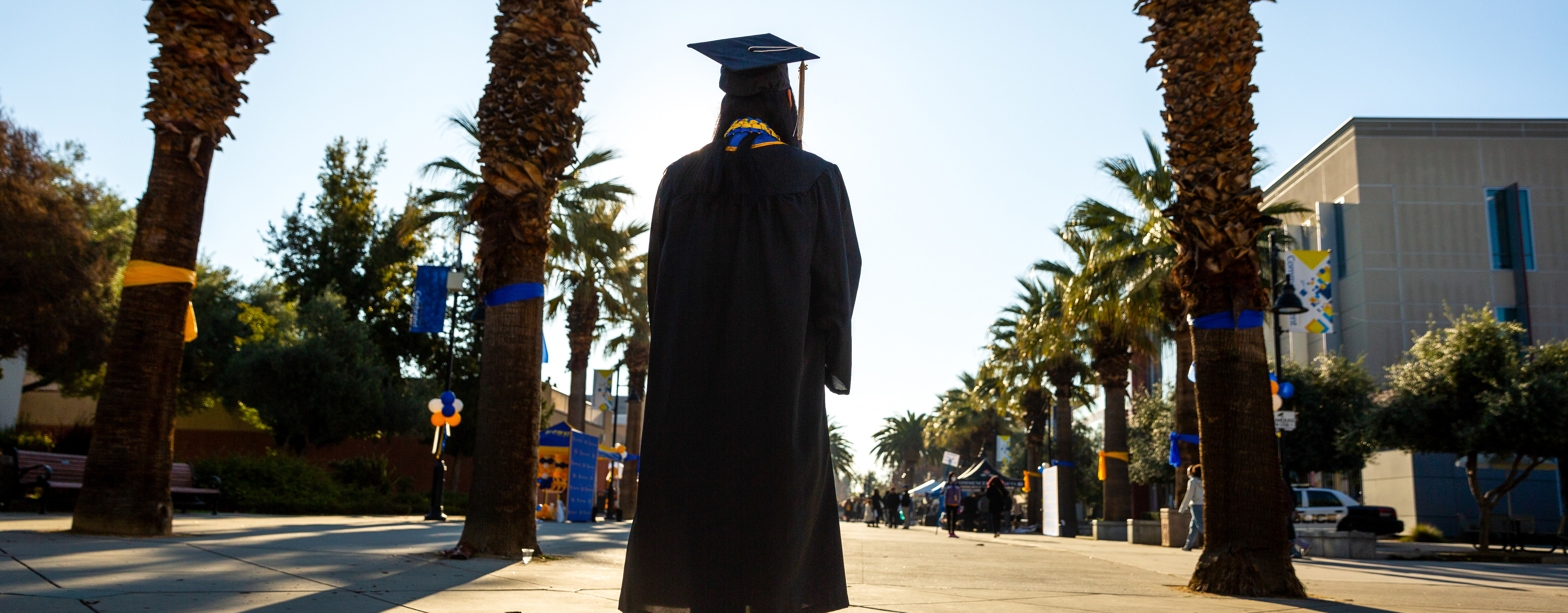 Female graduate looking towards sun