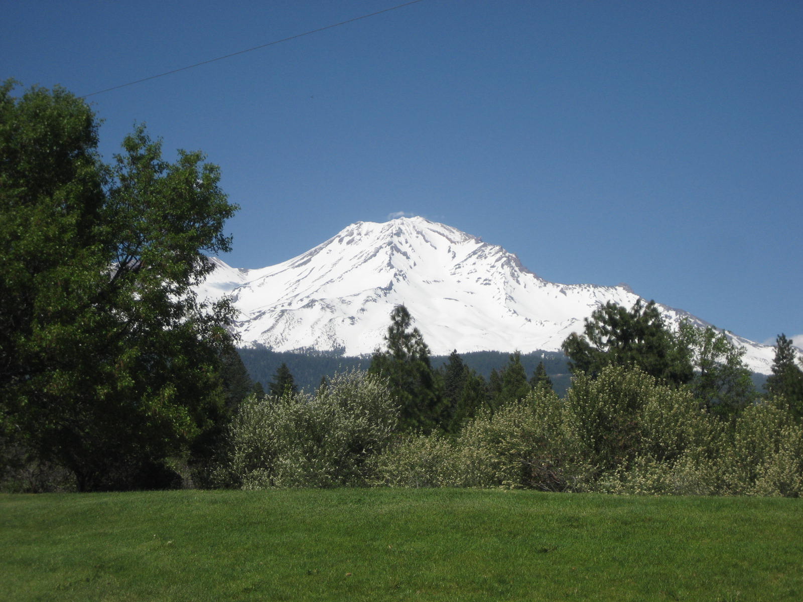 Mt. Shasta