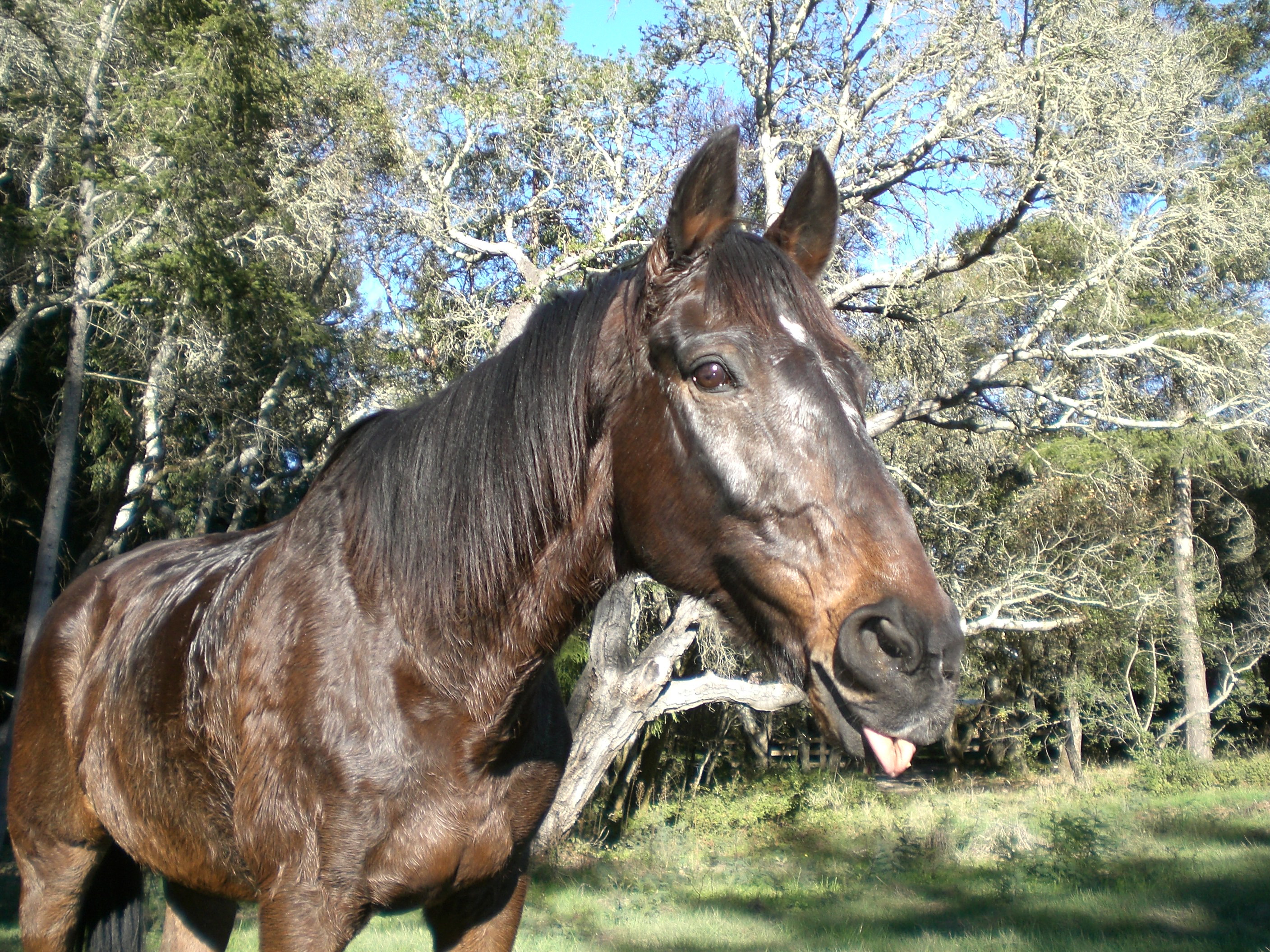 Harvey, Sherri