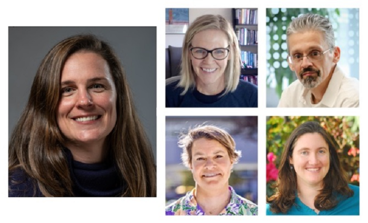 NSF Faculty STEM Award