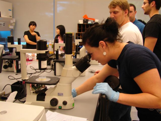 Grad students working together in a lab