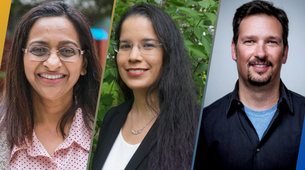 Dr. Sudha Krishnan, Dr. Jessica A. Castillo Vardaro and Dr. Craig B. Clements