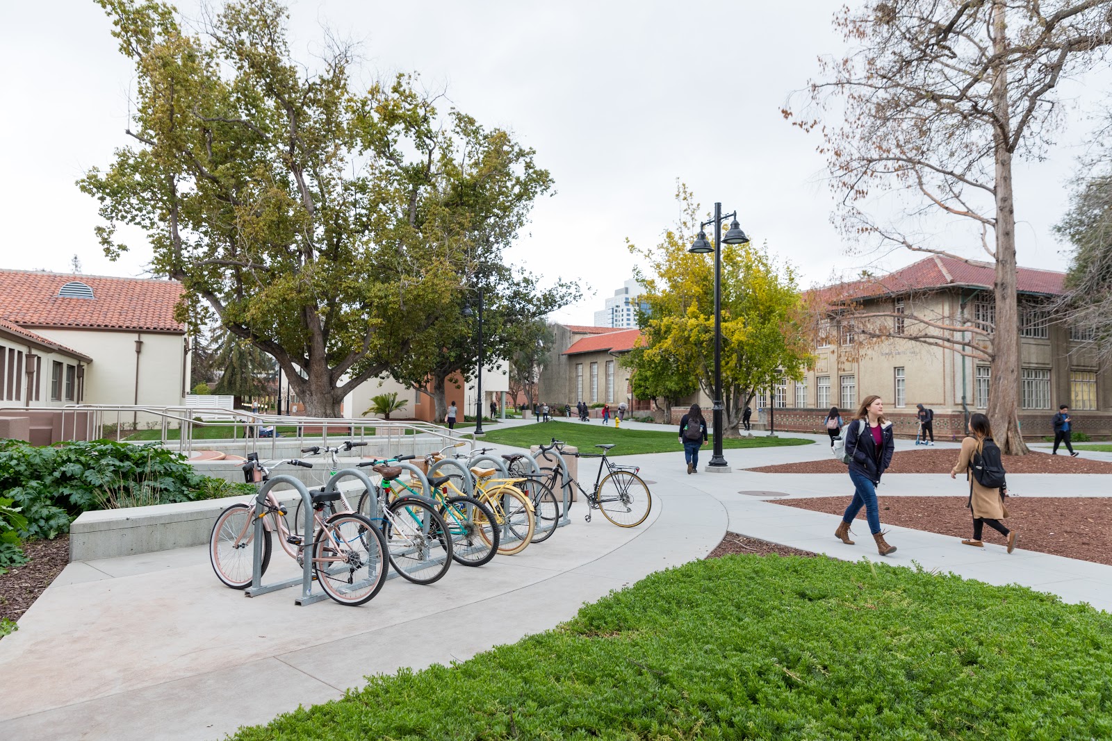 Bikes on Campus